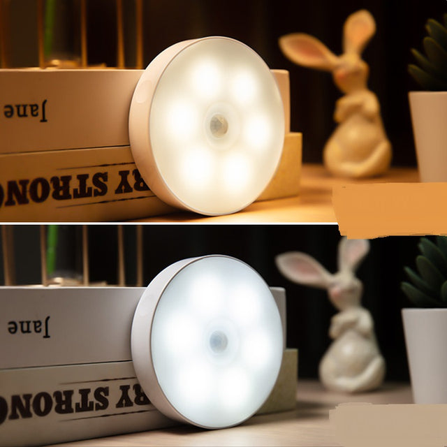 Lumières LED à détecteur pour placard (lot)